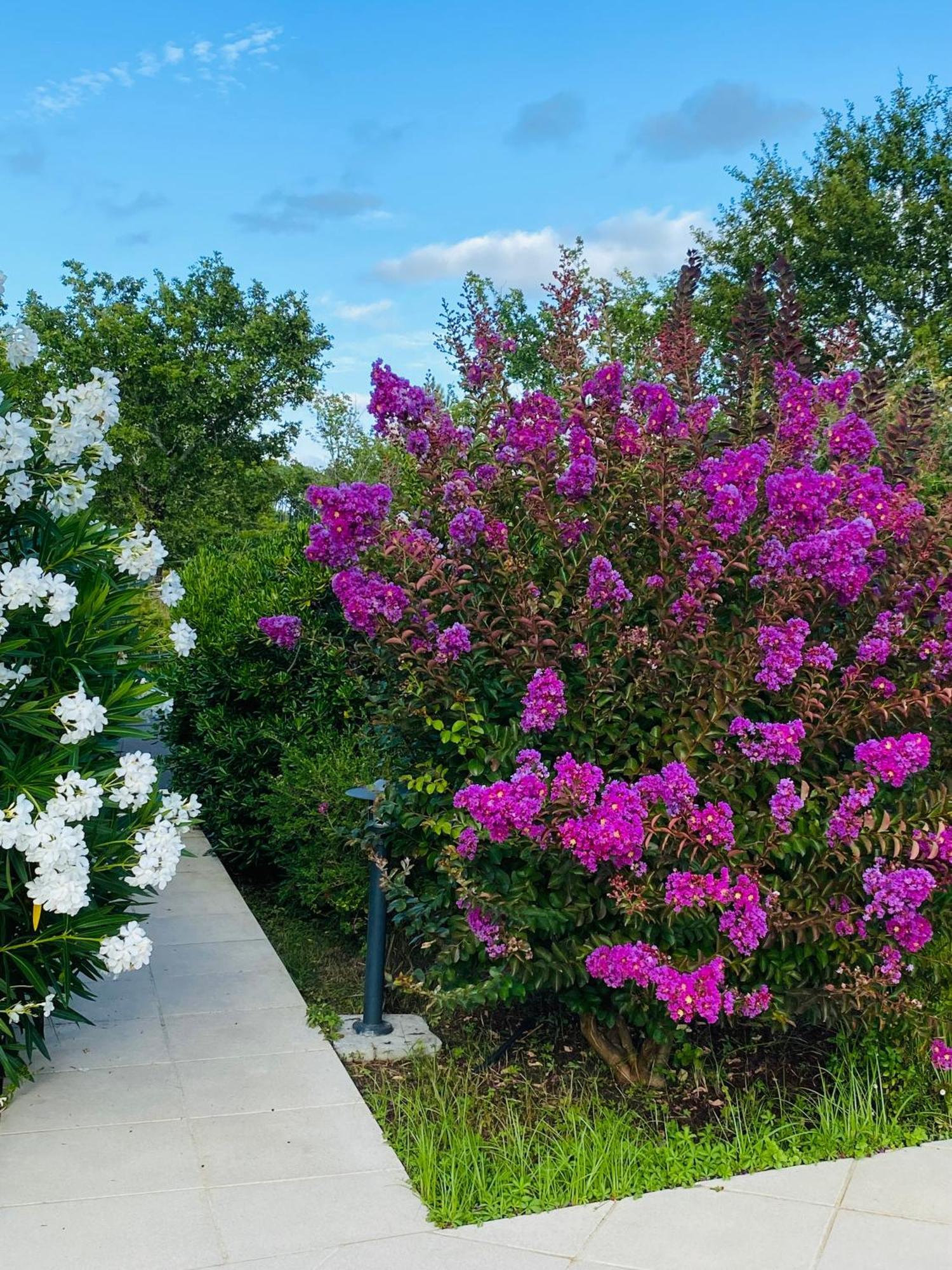 סנגווינה Villa Caplanne מראה חיצוני תמונה